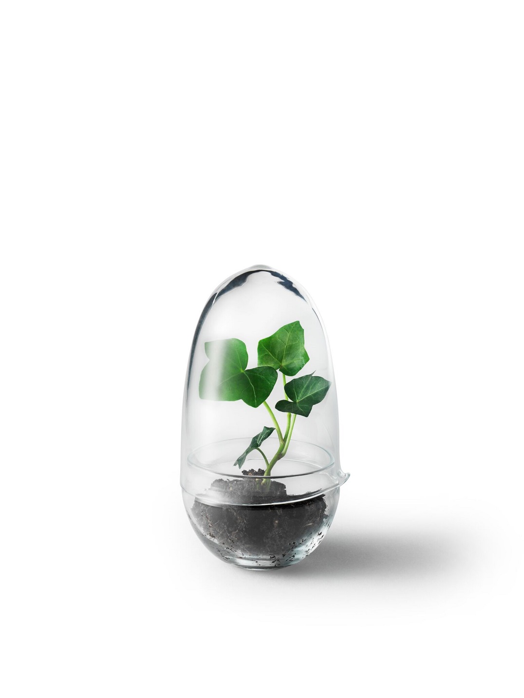 Grow Greenhouse Design House Stockholm Mini Serra Small