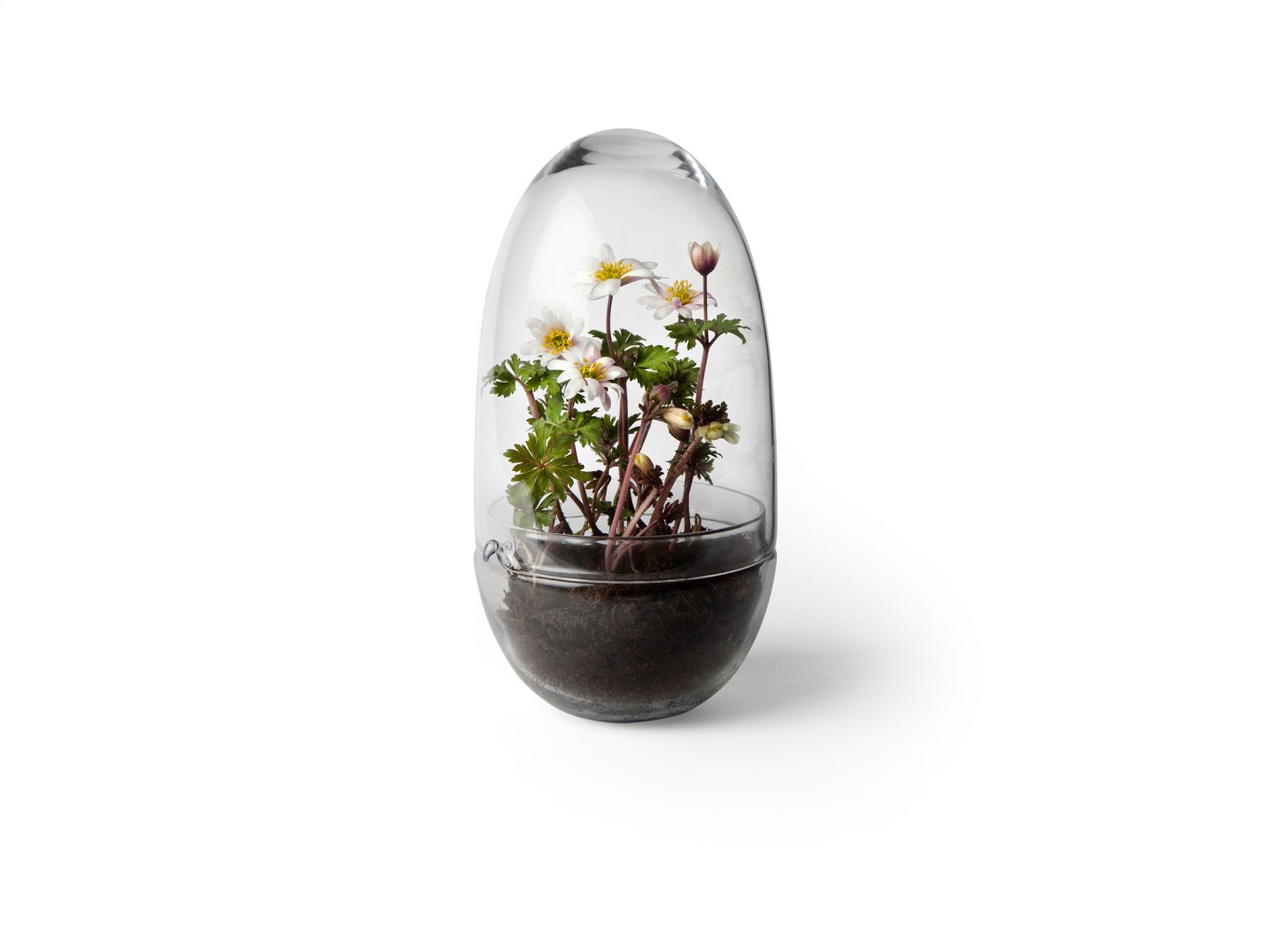Grow Greenhouse Design House Stockholm Mini Serra Medium
