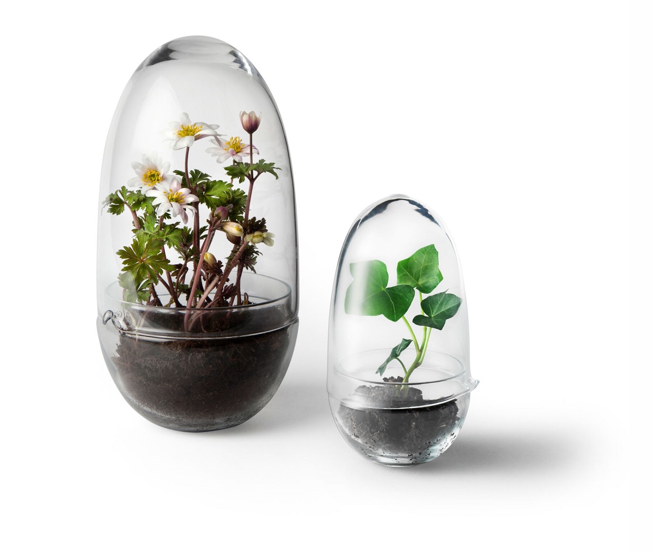 Grow Greenhouse Design House Stockholm Mini Serra ExtraLarge